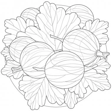 Coloring book gooseberry among leaves on a plate